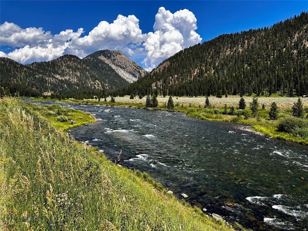 Madison River "Between the Lakes"