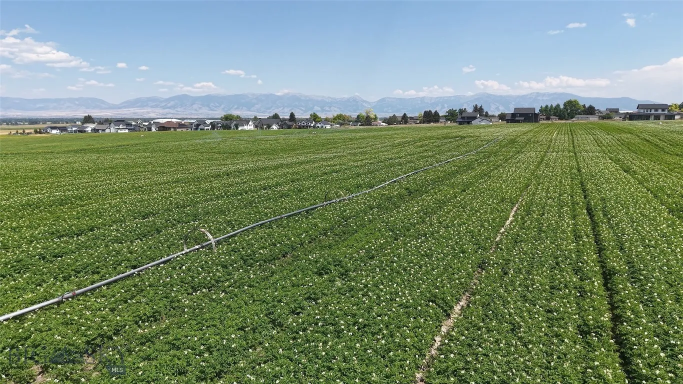 Tract 3 (38 Acres) Churchill Road, Churchill, Mont, Churchill, Montana 59741, ,Land,For Sale,Tract 3 (38 Acres) Churchill Road, Churchill, Mont,0,404404