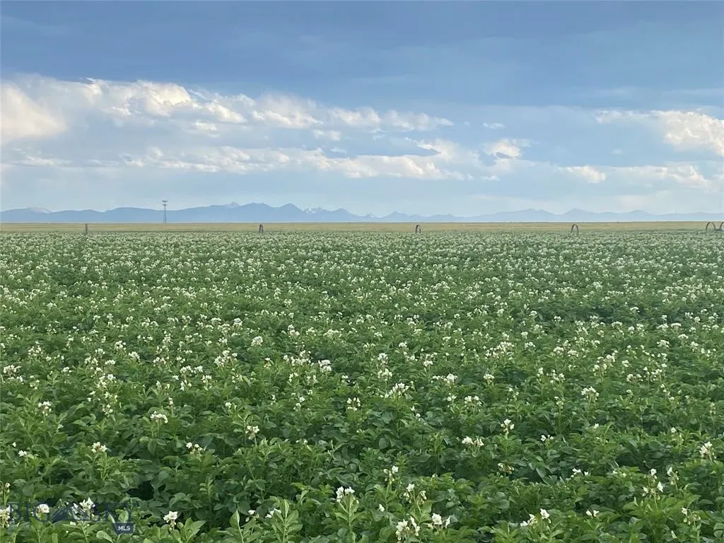 Tract 3 (38 Acres) Churchill Road, Churchill, Mont, Churchill, Montana 59741, ,Land,For Sale,Tract 3 (38 Acres) Churchill Road, Churchill, Mont,0,404404