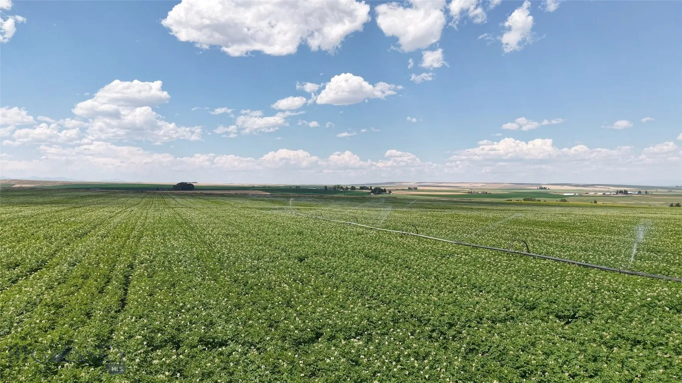 Tract 4 (46 Acres) Churchill Road, Churchill, Mont, Churchill, Montana 59741, ,Land,For Sale,Tract 4 (46 Acres) Churchill Road, Churchill, Mont,0,404405