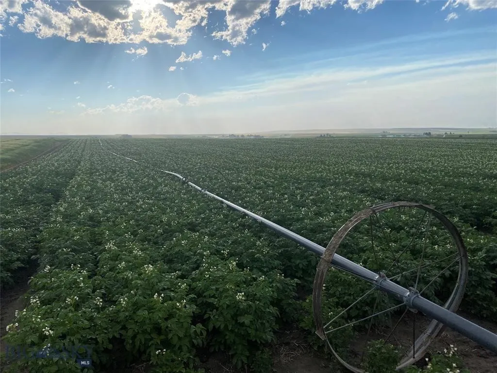 Tract 4 (46 Acres) Churchill Road, Churchill, Mont, Churchill, Montana 59741, ,Land,For Sale,Tract 4 (46 Acres) Churchill Road, Churchill, Mont,0,404405