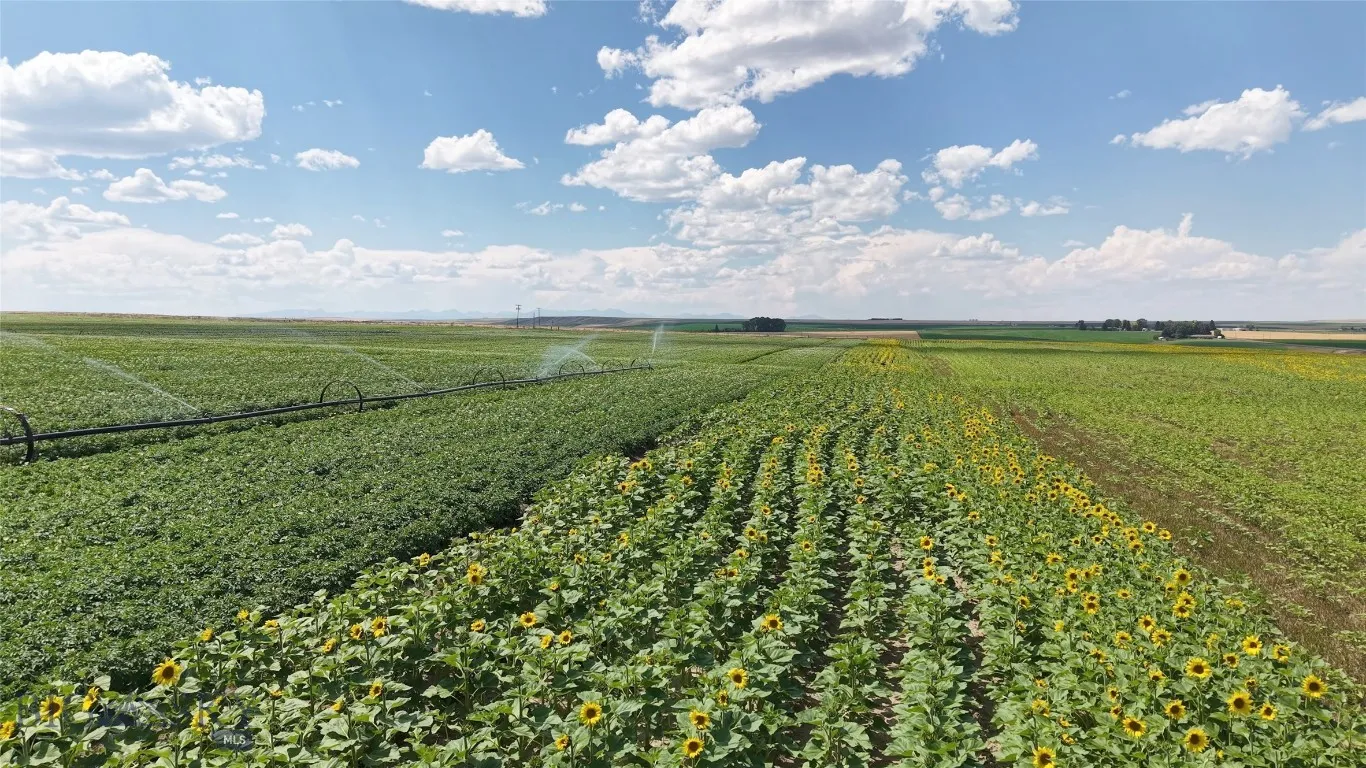 Tract 4 (46 Acres) Churchill Road, Churchill, Mont, Churchill, Montana 59741, ,Land,For Sale,Tract 4 (46 Acres) Churchill Road, Churchill, Mont,0,404405