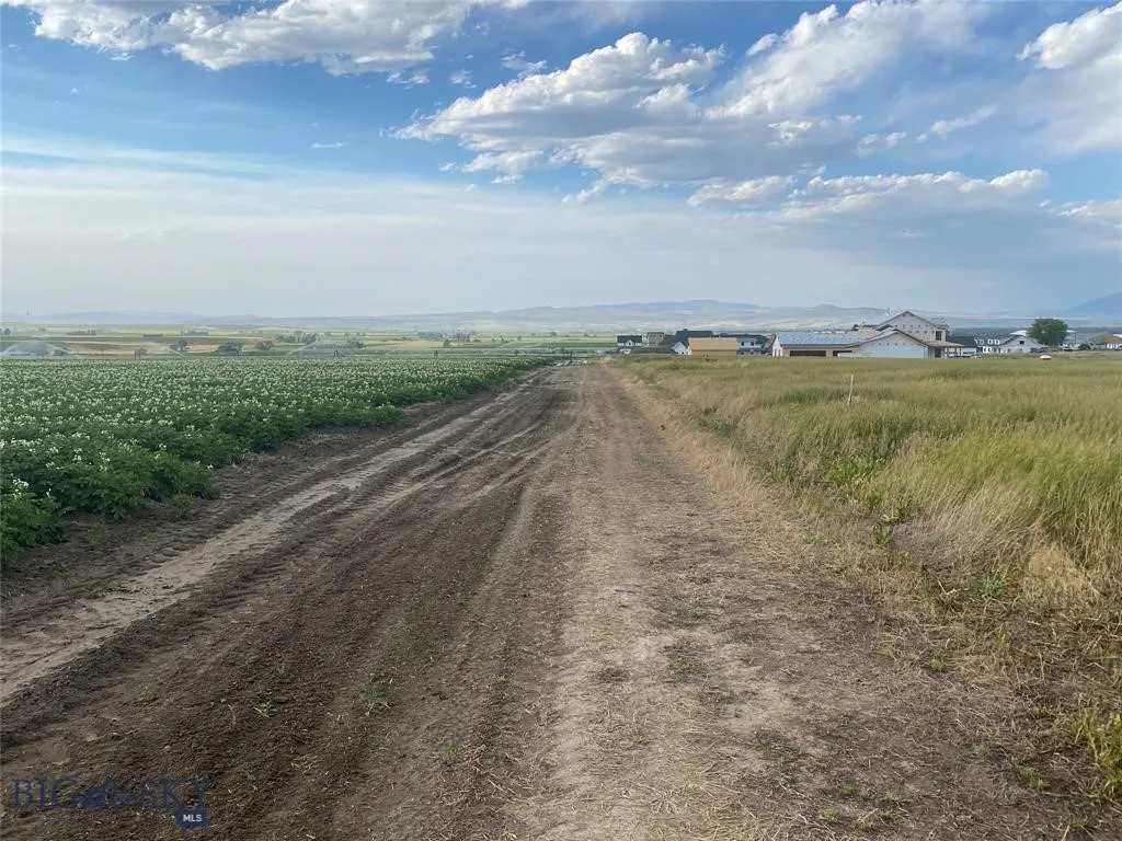 Tract 4 (46 Acres) Churchill Road, Churchill, Mont, Churchill, Montana 59741, ,Land,For Sale,Tract 4 (46 Acres) Churchill Road, Churchill, Mont,0,404405