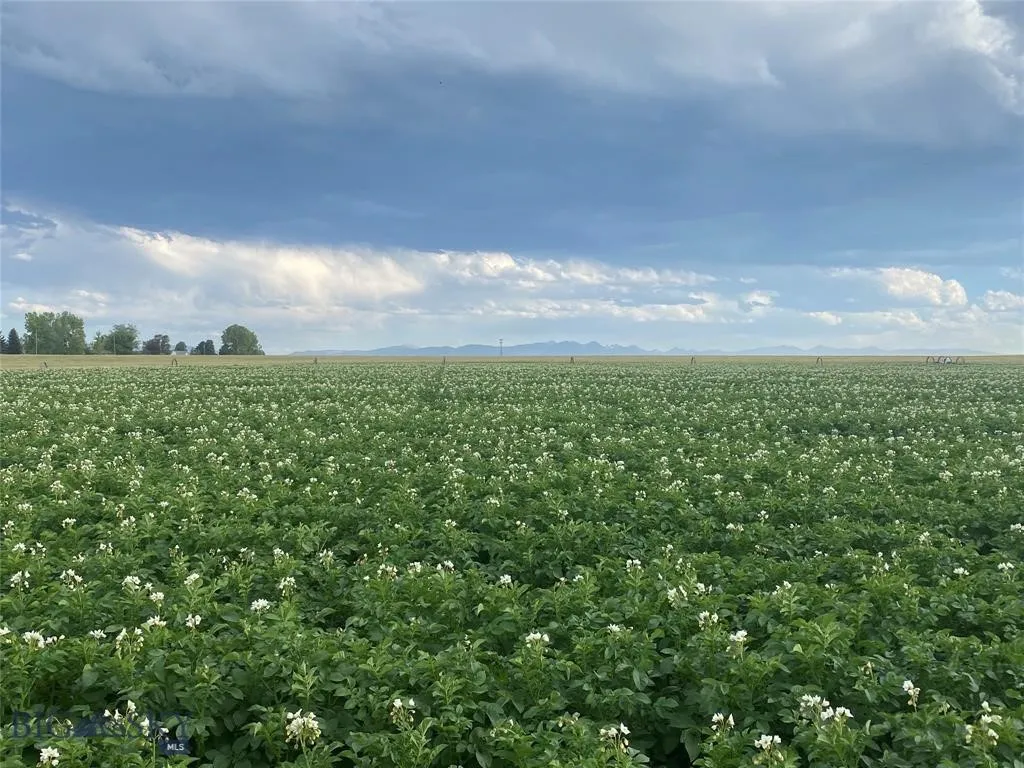 Tract 4 (46 Acres) Churchill Road, Churchill, Mont, Churchill, Montana 59741, ,Land,For Sale,Tract 4 (46 Acres) Churchill Road, Churchill, Mont,0,404405