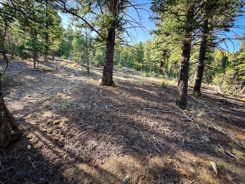 336 Quintana Lane, Boulder, Montana 59632, Boulder, Montana 59632, 1 Bedroom Bedrooms, ,1 BathroomBathrooms,Residential,For Sale,336 Quintana Lane, Boulder, Montana 59632,0,404655