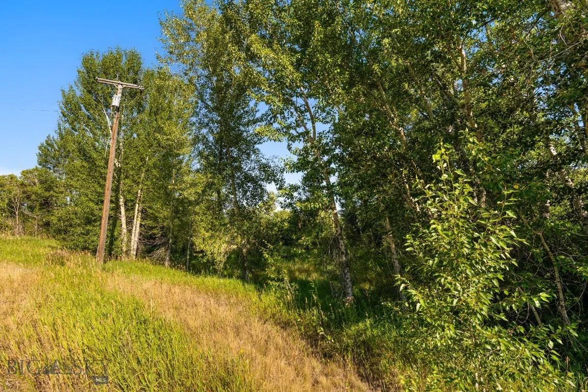 27867 Norris, Bozeman, Montana 59718, Bozeman, Montana 59718, 1 Bedroom Bedrooms, ,1 BathroomBathrooms,Land,For Sale,27867 Norris, Bozeman, Montana 59718,0,404685