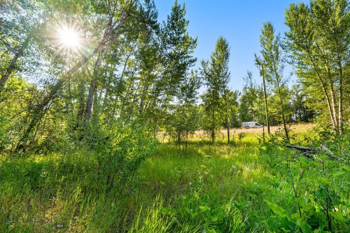 27867 Norris, Bozeman, Montana 59718, Bozeman, Montana 59718, 1 Bedroom Bedrooms, ,1 BathroomBathrooms,Land,For Sale,27867 Norris, Bozeman, Montana 59718,0,404685