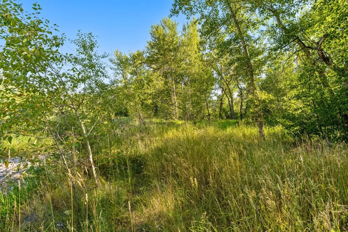 27867 Norris, Bozeman, Montana 59718, Bozeman, Montana 59718, 1 Bedroom Bedrooms, ,1 BathroomBathrooms,Land,For Sale,27867 Norris, Bozeman, Montana 59718,0,404685