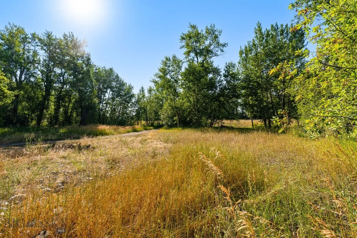 27867 Norris, Bozeman, Montana 59718, Bozeman, Montana 59718, 1 Bedroom Bedrooms, ,1 BathroomBathrooms,Land,For Sale,27867 Norris, Bozeman, Montana 59718,0,404685