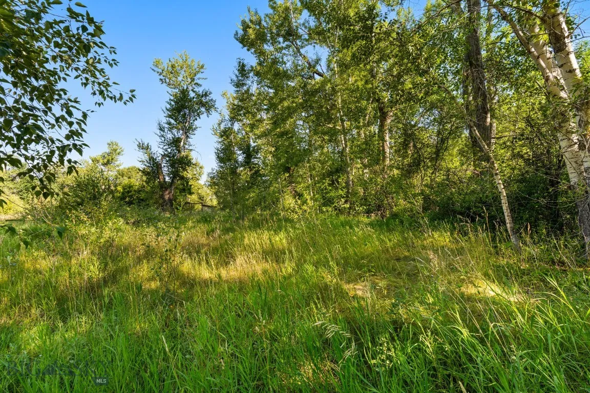 27867 Norris, Bozeman, Montana 59718, Bozeman, Montana 59718, 1 Bedroom Bedrooms, ,1 BathroomBathrooms,Land,For Sale,27867 Norris, Bozeman, Montana 59718,0,404685