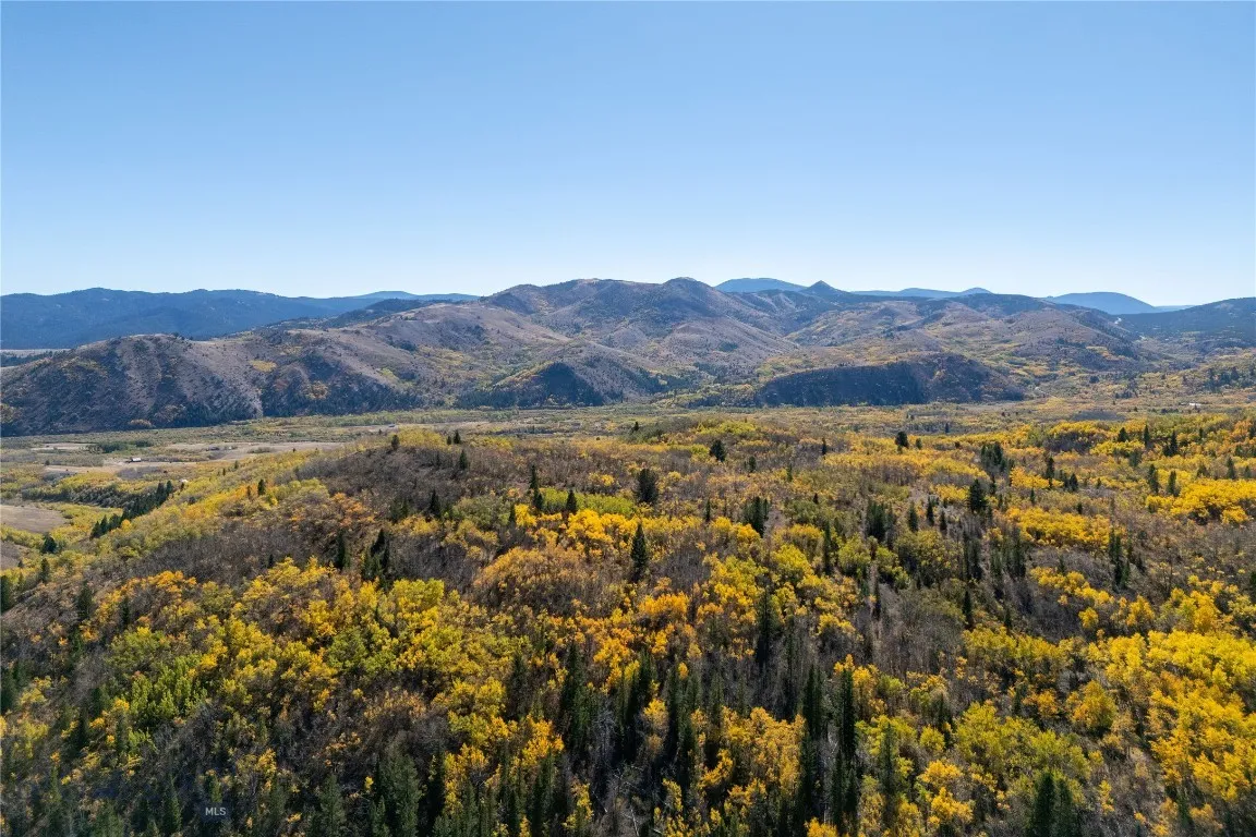 FALL