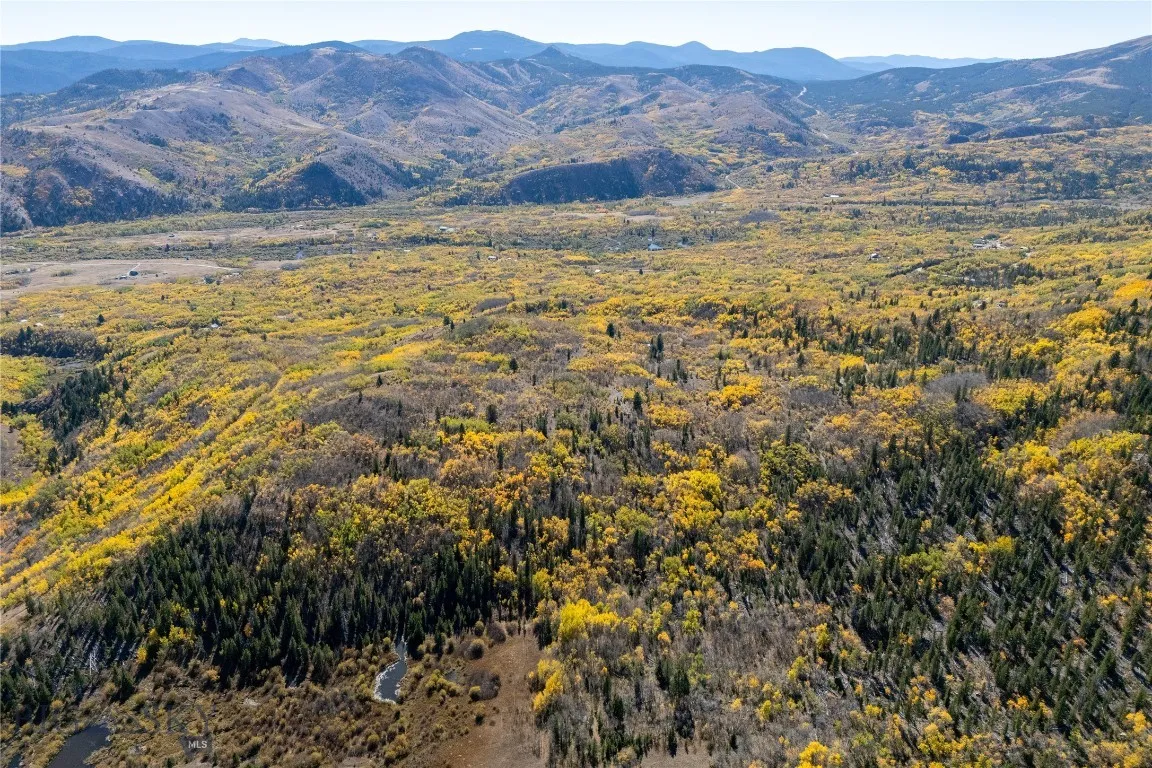 FALL