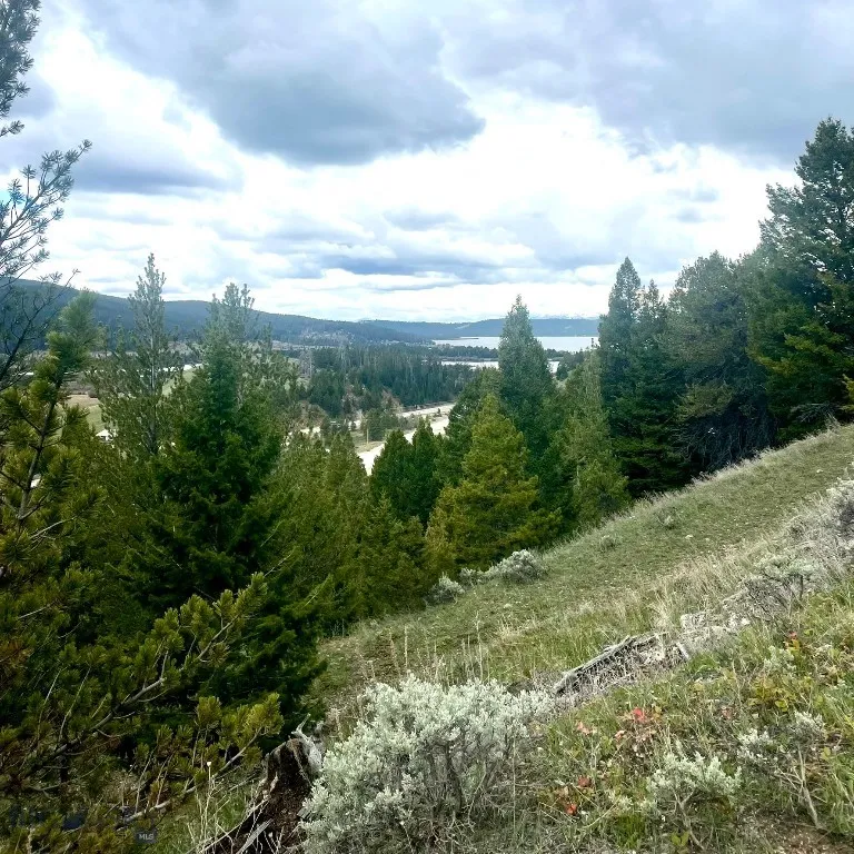 Tbd Shoot The Moon Lane, Georgetown Lake, Montana, Anaconda, Montana 59711, ,Land,For Sale,Tbd Shoot The Moon Lane, Georgetown Lake, Montana ,0,404701