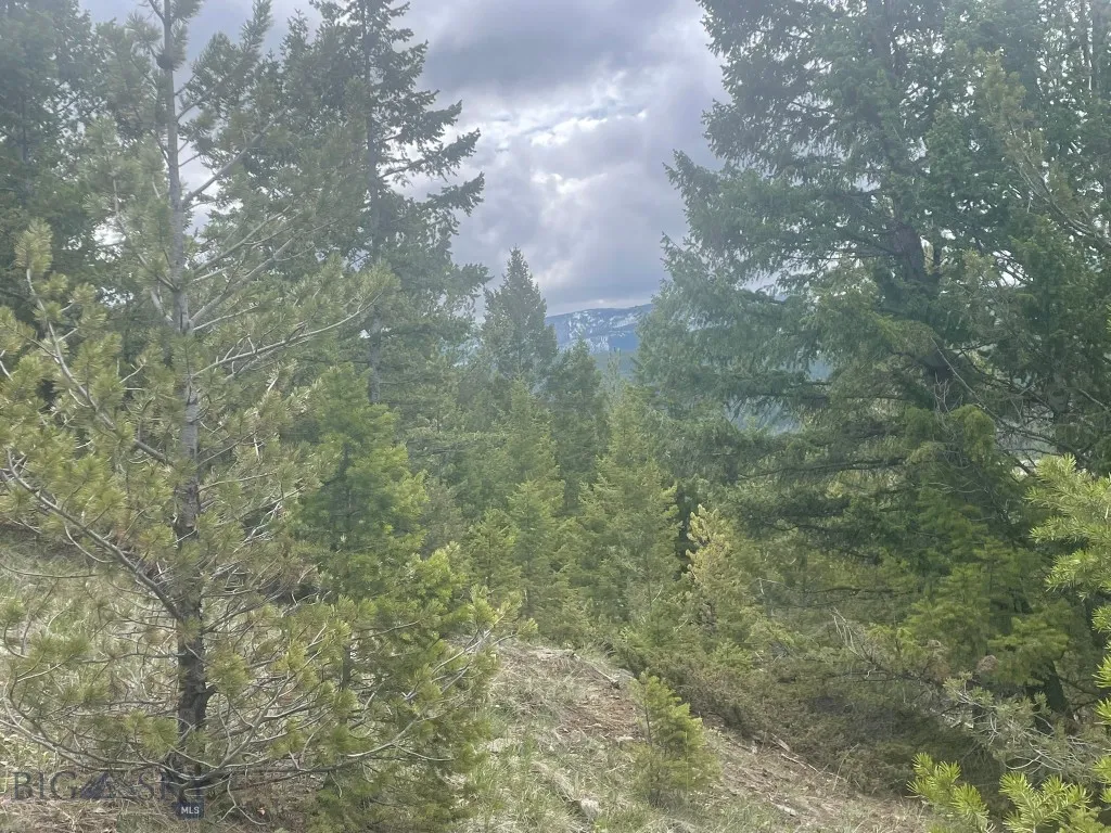 Tbd Shoot The Moon Lane, Georgetown Lake, Montana, Anaconda, Montana 59711, ,Land,For Sale,Tbd Shoot The Moon Lane, Georgetown Lake, Montana ,0,404701