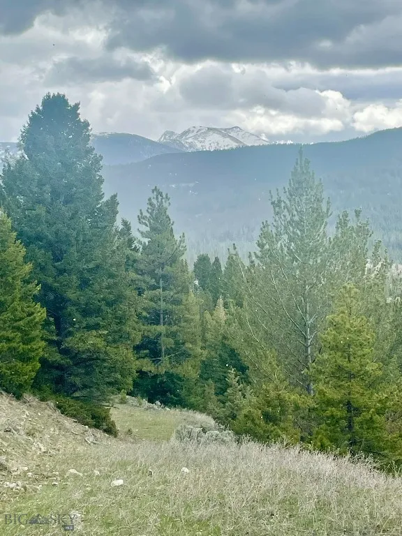 Tbd Shoot The Moon Lane, Georgetown Lake, Montana, Anaconda, Montana 59711, ,Land,For Sale,Tbd Shoot The Moon Lane, Georgetown Lake, Montana ,0,404701