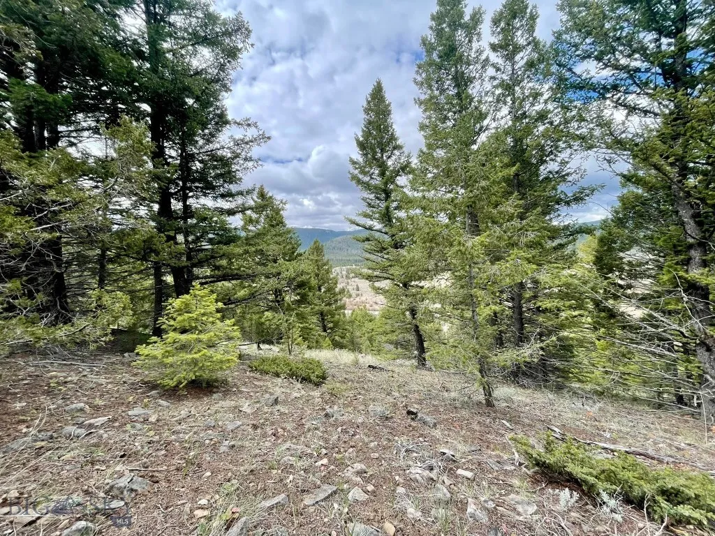 Tbd Shoot The Moon Lane, Georgetown Lake, Montana, Anaconda, Montana 59711, ,Land,For Sale,Tbd Shoot The Moon Lane, Georgetown Lake, Montana ,0,404701