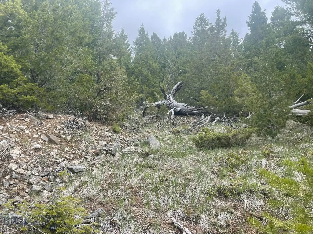 Tbd Shoot The Moon Lane, Georgetown Lake, Montana, Anaconda, Montana 59711, ,Land,For Sale,Tbd Shoot The Moon Lane, Georgetown Lake, Montana ,0,404701