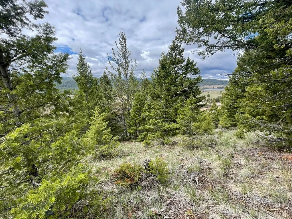 Tbd Shoot The Moon Lane, Georgetown Lake, Montana, Anaconda, Montana 59711, ,Land,For Sale,Tbd Shoot The Moon Lane, Georgetown Lake, Montana ,0,404701