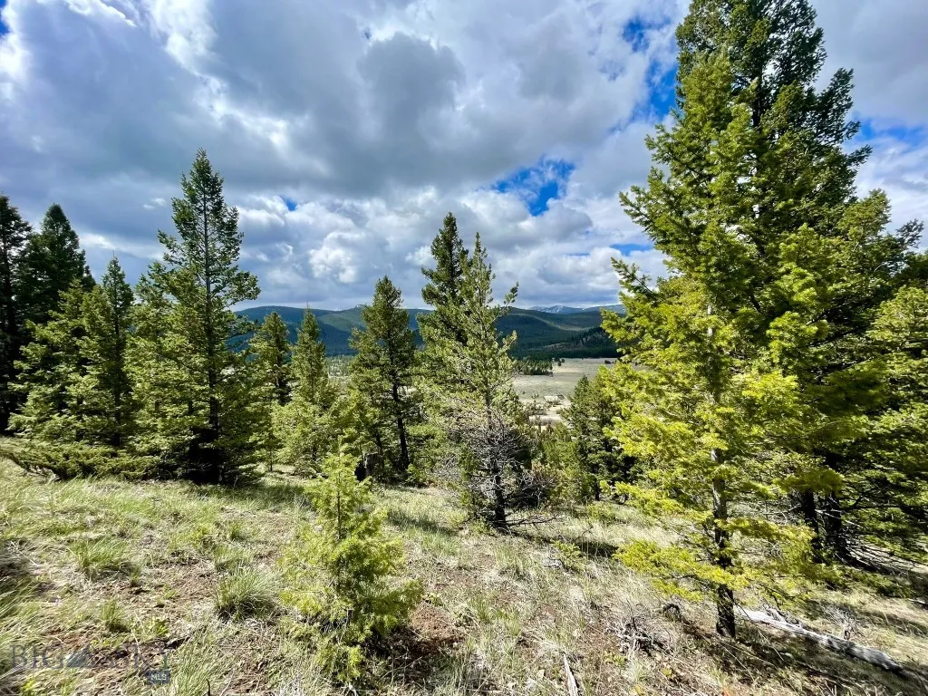 Tbd Shoot The Moon Lane, Georgetown Lake, Montana, Anaconda, Montana 59711, ,Land,For Sale,Tbd Shoot The Moon Lane, Georgetown Lake, Montana ,0,404701