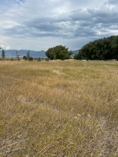 Lot 2a Bison Trail, Bozeman, Montana 59718, Bozeman, Montana 59718, ,Land,For Sale,Lot 2a Bison Trail, Bozeman, Montana 59718,0,404729