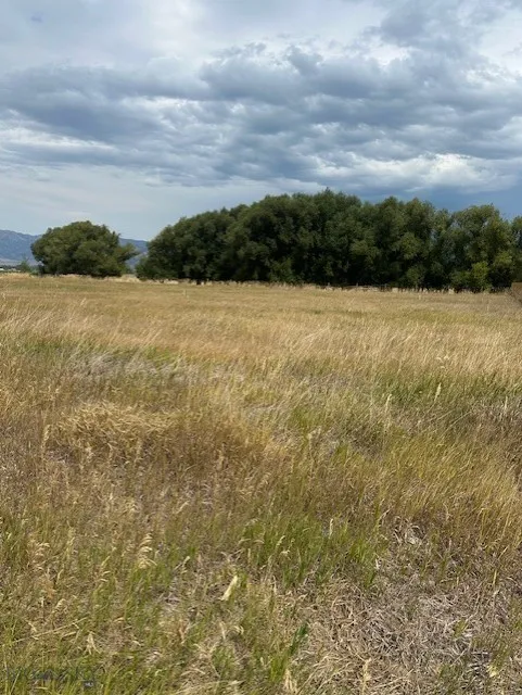 Lot 2a Bison Trail, Bozeman, Montana 59718, Bozeman, Montana 59718, ,Land,For Sale,Lot 2a Bison Trail, Bozeman, Montana 59718,0,404729