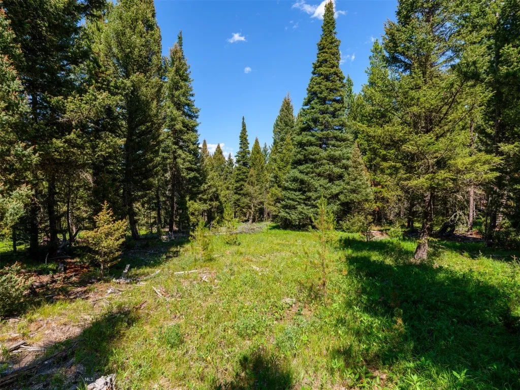 Tbd Settlers Loop Lot 91, Big Sky, Montana 59716, Big Sky, Montana 59716, ,Land,For Sale,Tbd Settlers Loop Lot 91, Big Sky, Montana 59716,0,392238