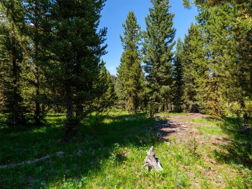 Tbd Settlers Loop Lot 91, Big Sky, Montana 59716, Big Sky, Montana 59716, ,Land,For Sale,Tbd Settlers Loop Lot 91, Big Sky, Montana 59716,0,392238