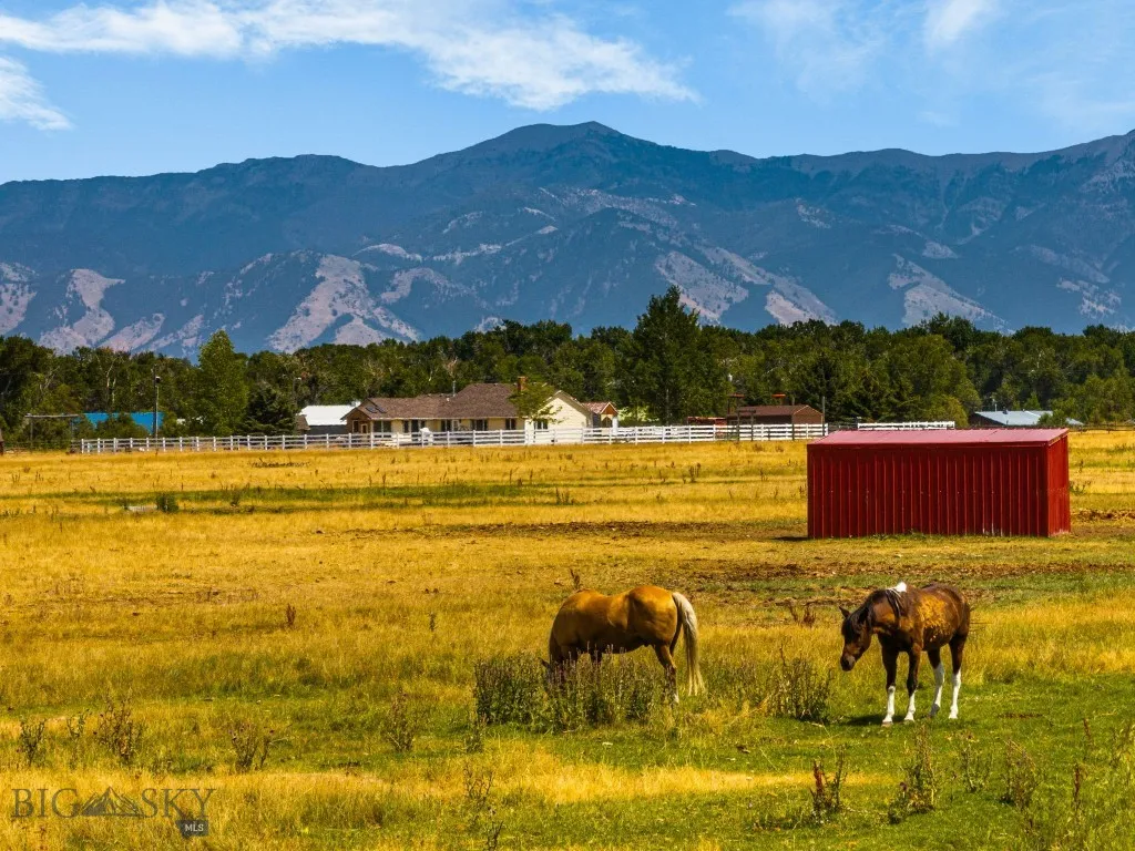 3455 Linney, Bozeman, Montana 59718, Bozeman, Montana 59718, 3 Bedrooms Bedrooms, ,2 BathroomsBathrooms,Residential,For Sale,3455 Linney, Bozeman, Montana 59718,0,404794