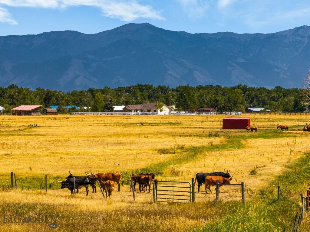 3455 Linney, Bozeman, Montana 59718, Bozeman, Montana 59718, 3 Bedrooms Bedrooms, ,2 BathroomsBathrooms,Residential,For Sale,3455 Linney, Bozeman, Montana 59718,0,404794
