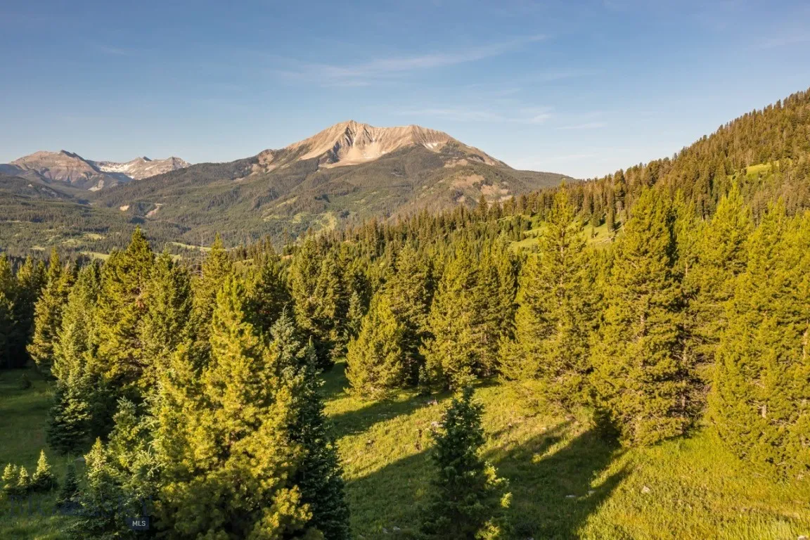 Tbd Jack Creek Road, Big Sky, Montana 59729, Big Sky, Montana 59729, ,Land,For Sale,Tbd Jack Creek Road, Big Sky, Montana 59729,0,404852