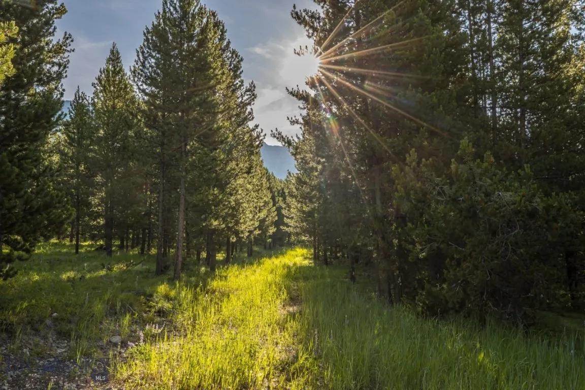 Tbd Jack Creek Road, Big Sky, Montana 59729, Big Sky, Montana 59729, ,Land,For Sale,Tbd Jack Creek Road, Big Sky, Montana 59729,0,404852