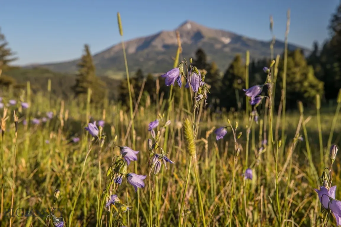 Tbd Jack Creek Road, Big Sky, Montana 59729, Big Sky, Montana 59729, ,Land,For Sale,Tbd Jack Creek Road, Big Sky, Montana 59729,0,404852