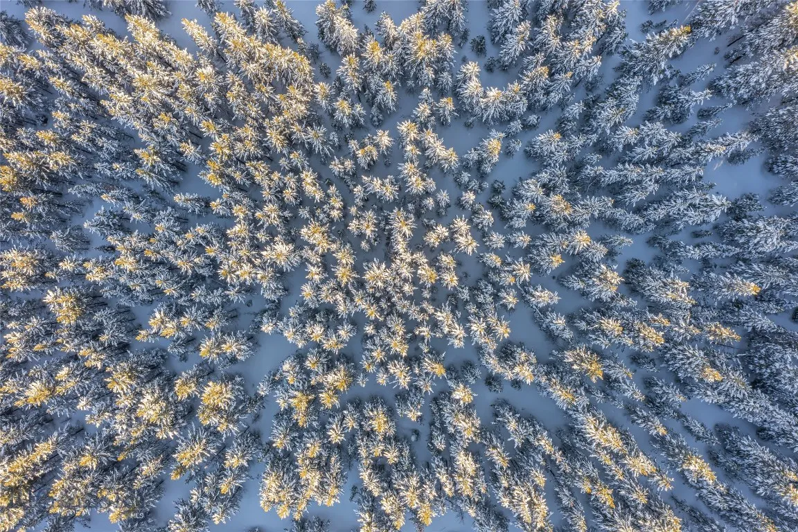 Wooded lots provide privacy in addition to refuge to wildlife including elk, deer, bears, and many other small animals.