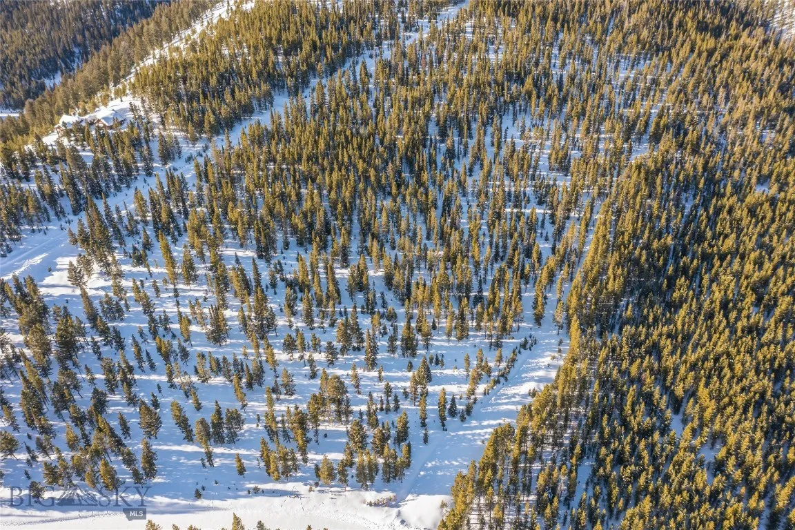 Wooded lots provide privacy in addition to refuge to wildlife including elk, deer, bears, and many other small animals.