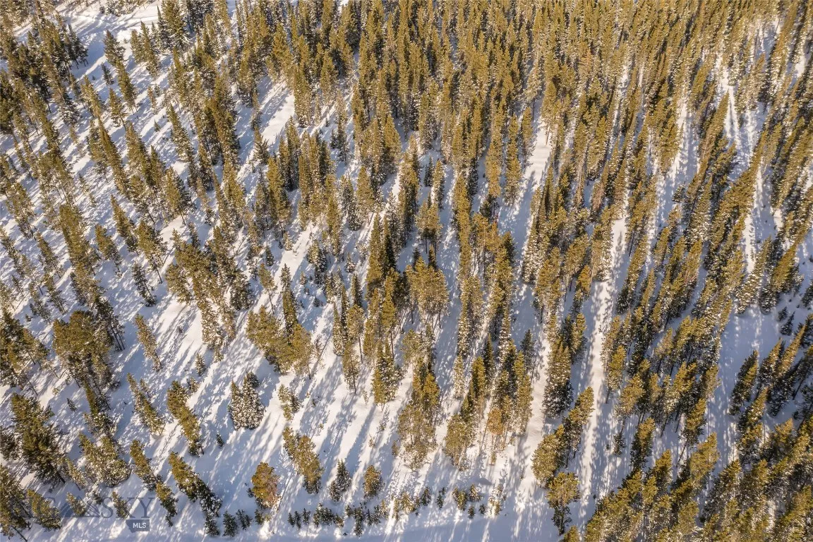 Wooded lots provide privacy in addition to refuge to wildlife including elk, deer, bears, and many other small animals.