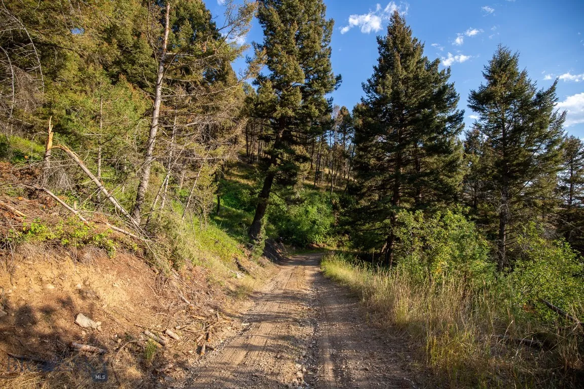 576 Wisconsin Creek Road, Sheridan, Montana 59749, Sheridan, Montana 59749, 1 Bedroom Bedrooms, ,1 BathroomBathrooms,Residential,For Sale,576 Wisconsin Creek Road, Sheridan, Montana 59749,0,405044