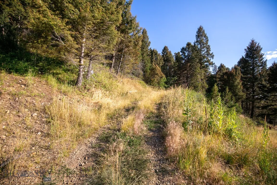 576 Wisconsin Creek Road, Sheridan, Montana 59749, Sheridan, Montana 59749, 1 Bedroom Bedrooms, ,1 BathroomBathrooms,Residential,For Sale,576 Wisconsin Creek Road, Sheridan, Montana 59749,0,405044