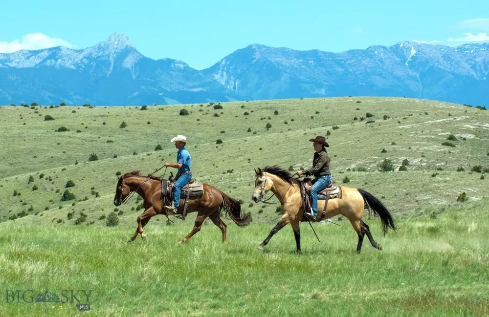 Tbd Prickly Pear, Manhattan, Montana 59741, Manhattan, Montana 59741, ,Land,For Sale,Tbd Prickly Pear, Manhattan, Montana 59741,0,405013