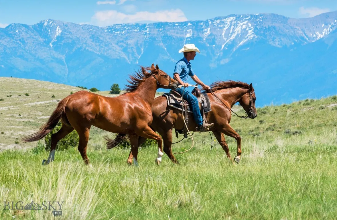 Tbd Prickly Pear, Manhattan, Montana 59741, Manhattan, Montana 59741, ,Land,For Sale,Tbd Prickly Pear, Manhattan, Montana 59741,0,405013