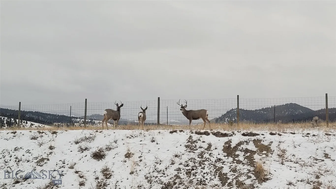 842 Mt Highway 2 W, Whitehall, Montana 59759, Whitehall, Montana 59759, 3 Bedrooms Bedrooms, ,2 BathroomsBathrooms,Residential,For Sale,842 Mt Highway 2 W, Whitehall, Montana 59759,0,405176