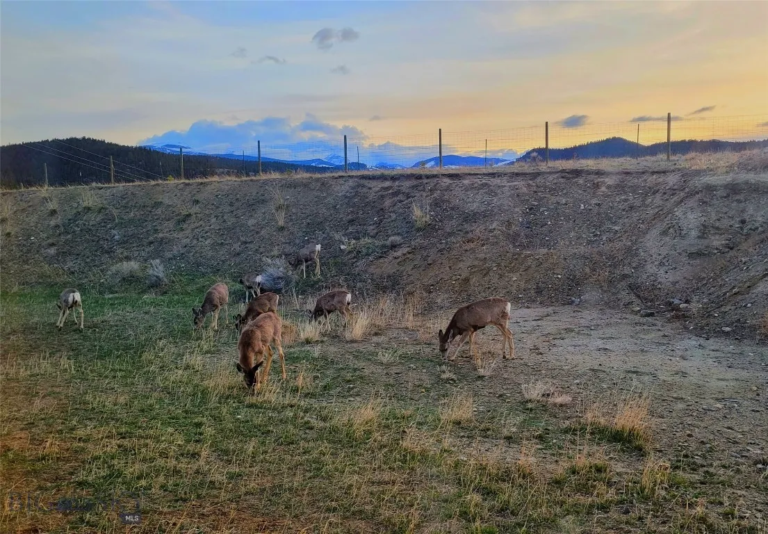 842 Mt Highway 2 W, Whitehall, Montana 59759, Whitehall, Montana 59759, 3 Bedrooms Bedrooms, ,2 BathroomsBathrooms,Residential,For Sale,842 Mt Highway 2 W, Whitehall, Montana 59759,0,405176
