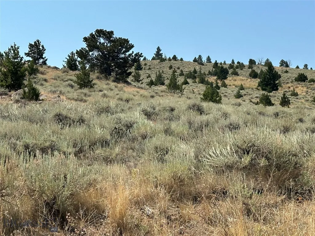 0000 Two Bumps, Virginia City, Montana 59729, Ennis, Montana 59729, ,Land,For Sale,0000 Two Bumps, Virginia City, Montana 59729,0,405167