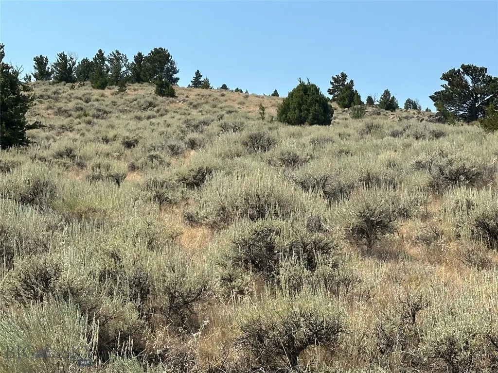 0000 Two Bumps, Virginia City, Montana 59729, Ennis, Montana 59729, ,Land,For Sale,0000 Two Bumps, Virginia City, Montana 59729,0,405167