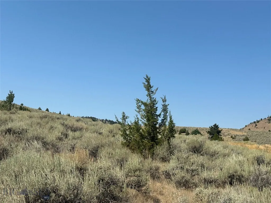 0000 Two Bumps, Virginia City, Montana 59729, Ennis, Montana 59729, ,Land,For Sale,0000 Two Bumps, Virginia City, Montana 59729,0,405167