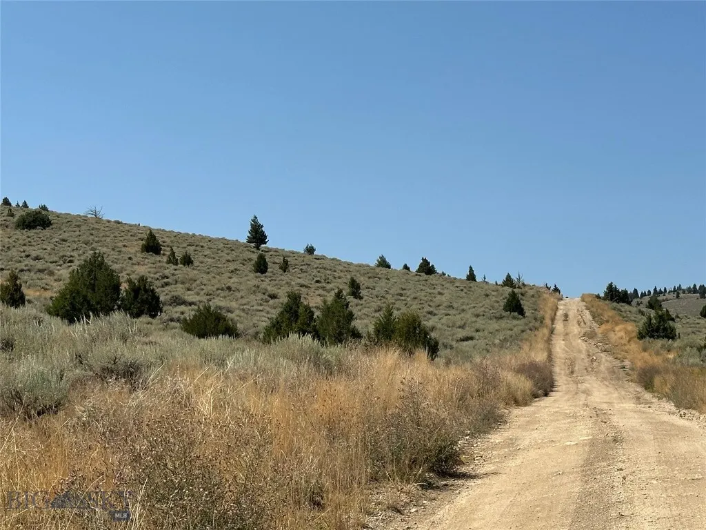 0000 Two Bumps, Virginia City, Montana 59729, Ennis, Montana 59729, ,Land,For Sale,0000 Two Bumps, Virginia City, Montana 59729,0,405167