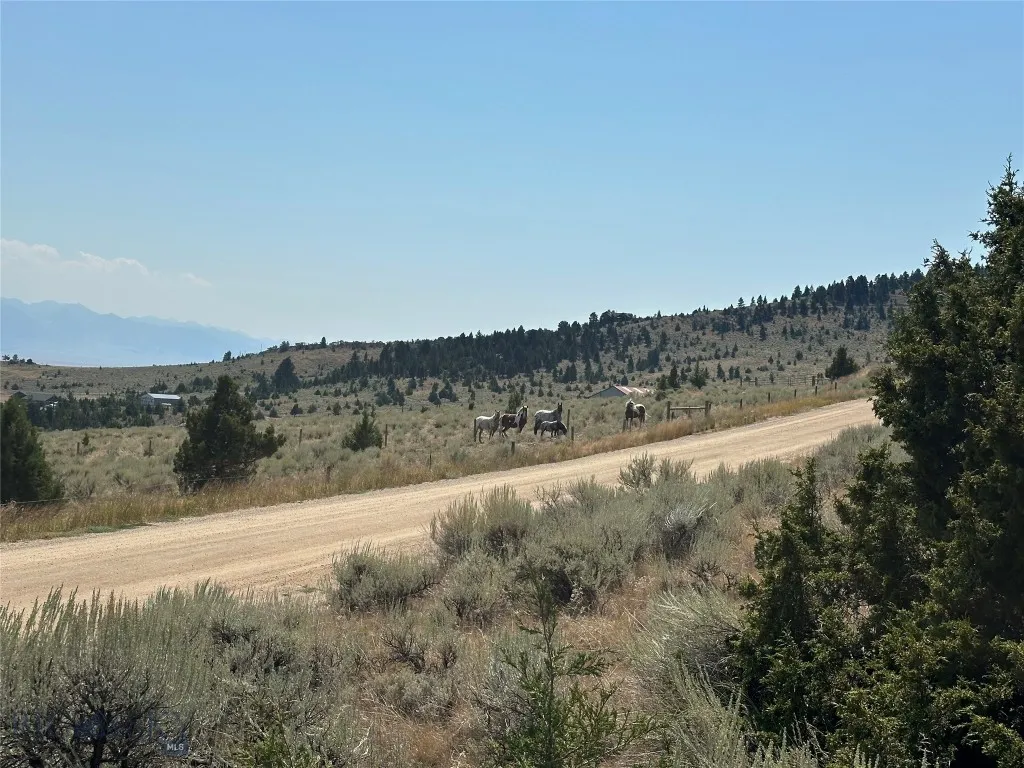 0000 Two Bumps, Virginia City, Montana 59729, Ennis, Montana 59729, ,Land,For Sale,0000 Two Bumps, Virginia City, Montana 59729,0,405167