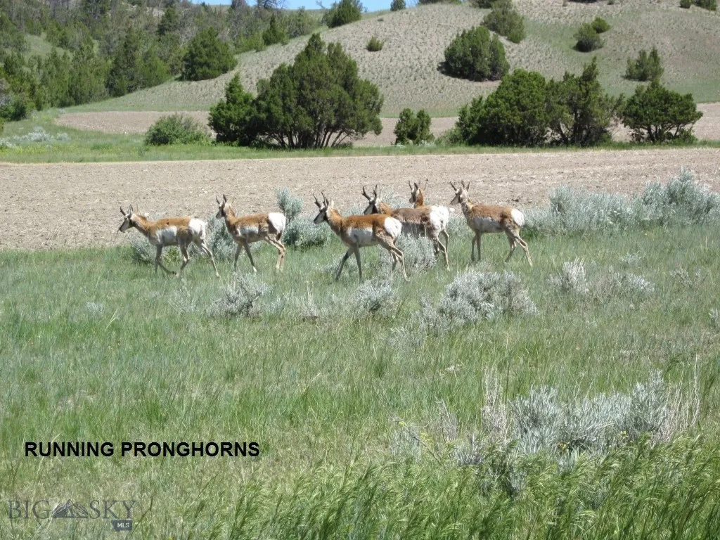 Lot 789 Nw Miller Canyon Road, Three Forks, Montan, Three Forks, Montana 59752, ,Land,For Sale,Lot 789 Nw Miller Canyon Road, Three Forks, Montan,0,405111