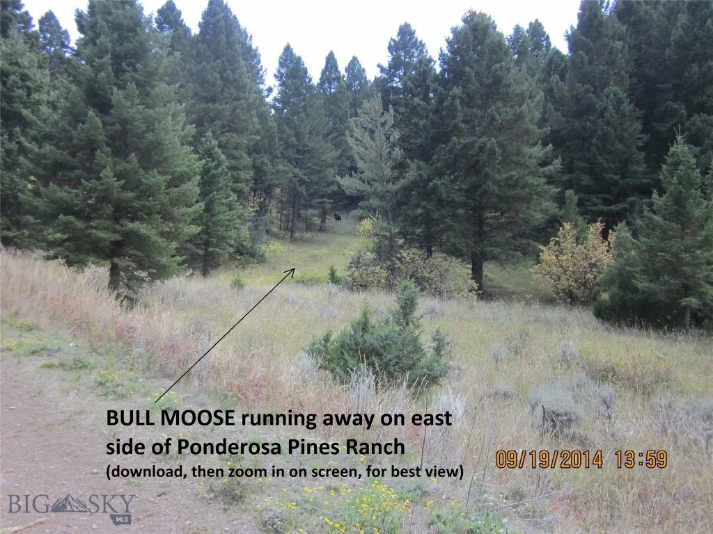 Lot 789 Nw Miller Canyon Road, Three Forks, Montan, Three Forks, Montana 59752, ,Land,For Sale,Lot 789 Nw Miller Canyon Road, Three Forks, Montan,0,405111