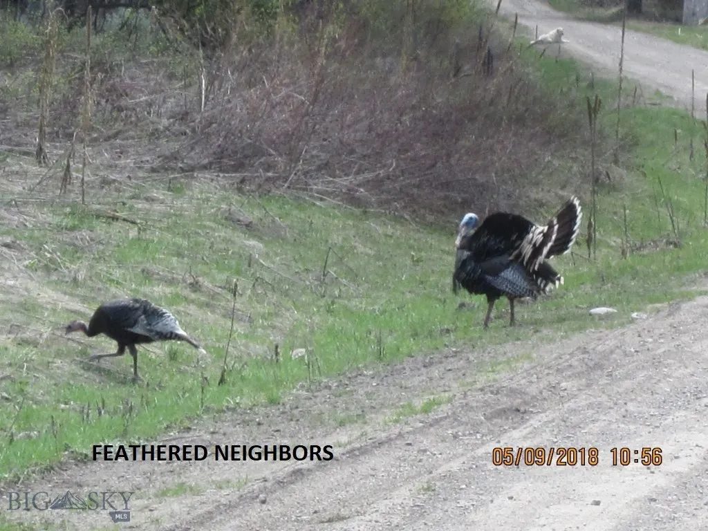 Lot 789 Nw Miller Canyon Road, Three Forks, Montan, Three Forks, Montana 59752, ,Land,For Sale,Lot 789 Nw Miller Canyon Road, Three Forks, Montan,0,405111