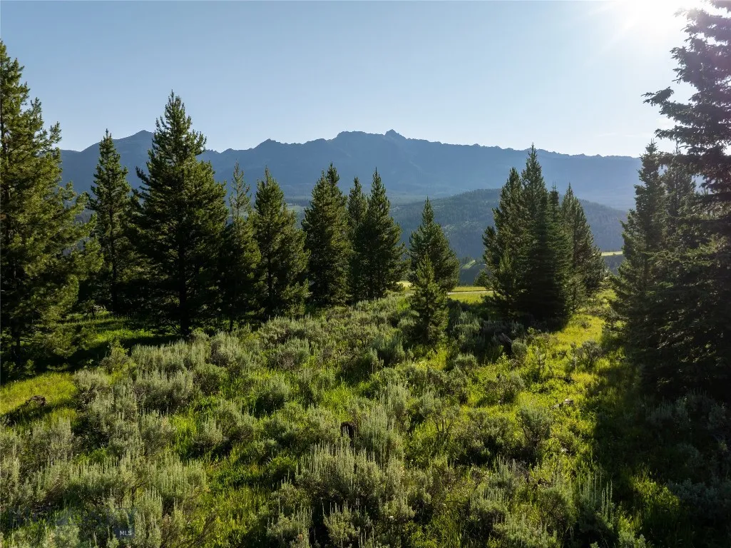 Tbd White Wolf Trail Lot 4, Big Sky, Montana 59716, Big Sky, Montana 59716, ,Land,For Sale,Tbd White Wolf Trail Lot 4, Big Sky, Montana 59716,0,405192